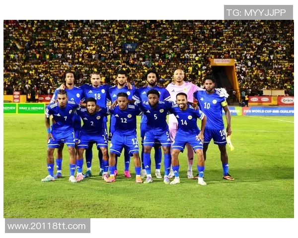 奥地利足球奇迹之路：从附加赛逆袭至世界杯八强荣耀